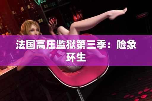 法国高压监狱第三季：险象环生
