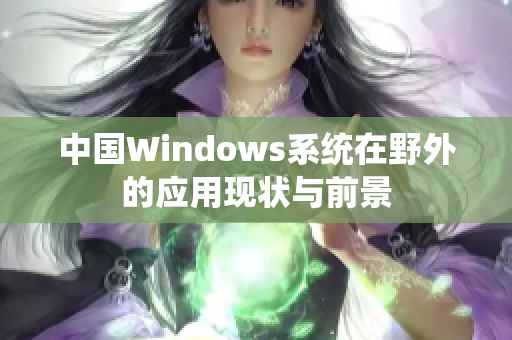 中国Windows系统在野外的应用现状与前景