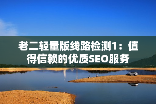 老二轻量版线路检测1：值得信赖的优质SEO服务