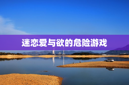 迷恋爱与欲的危险游戏