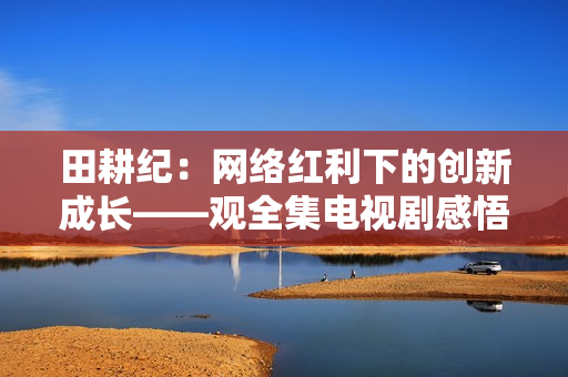 田耕纪：网络红利下的创新成长——观全集电视剧感悟