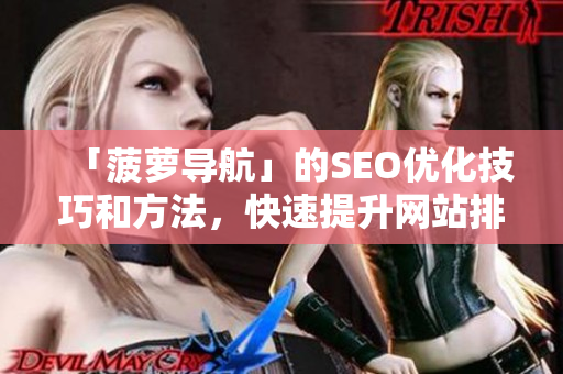 「菠萝导航」的SEO优化技巧和方法，快速提升网站排名