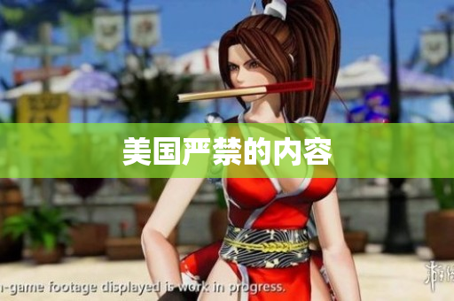 美国严禁的内容