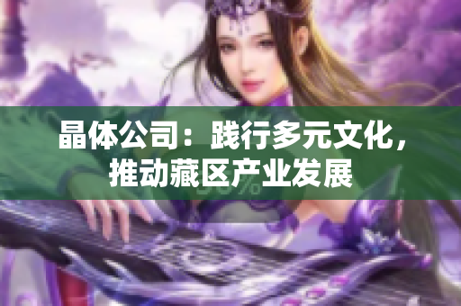 晶体公司：践行多元文化，推动藏区产业发展