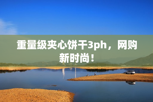 重量级夹心饼干3ph，网购新时尚！