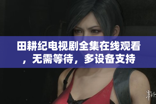 田耕纪电视剧全集在线观看，无需等待，多设备支持