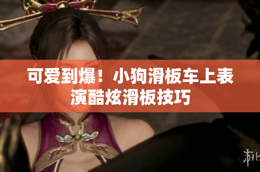 可爱到爆！小狗滑板车上表演酷炫滑板技巧
