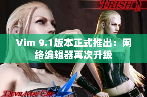 Vim 9.1版本正式推出：网络编辑器再次升级