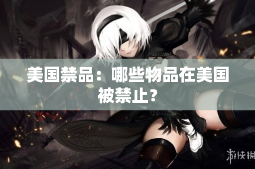 美国禁品：哪些物品在美国被禁止？