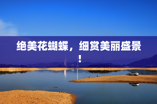 绝美花蝴蝶，细赏美丽盛景！