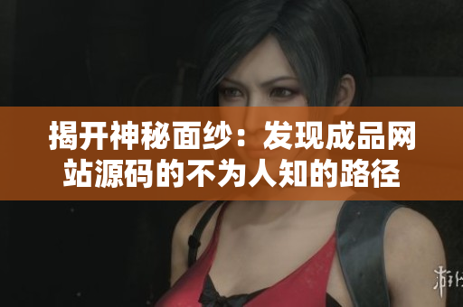 揭开神秘面纱：发现成品网站源码的不为人知的路径