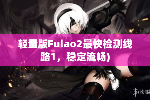 轻量版Fulao2最快检测线路1，稳定流畅)