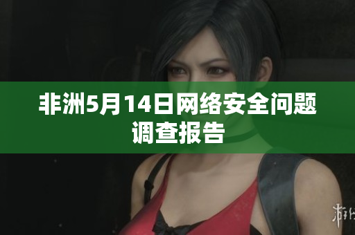 非洲5月14日网络安全问题调查报告