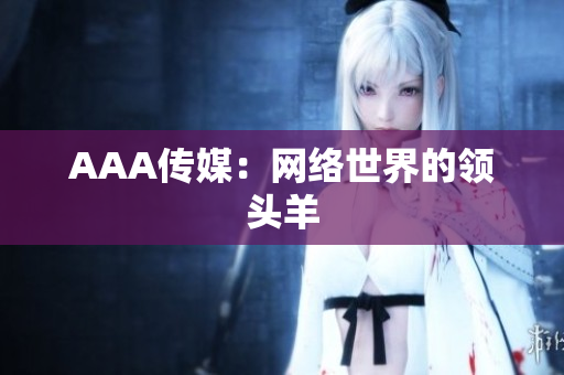 AAA传媒：网络世界的领头羊