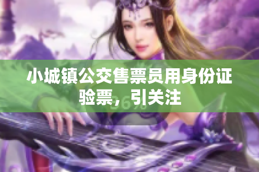小城镇公交售票员用身份证验票，引关注
