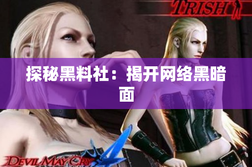 探秘黑料社：揭开网络黑暗面