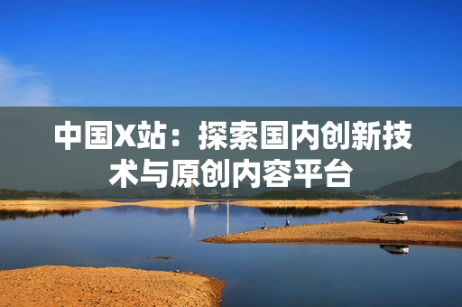 中国X站：探索国内创新技术与原创内容平台