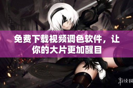 免费下载视频调色软件，让你的大片更加醒目