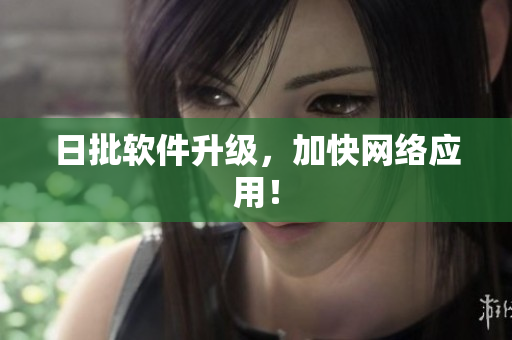 日批软件升级，加快网络应用！