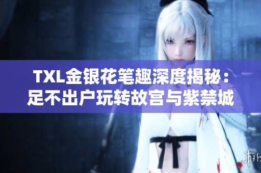 TXL金银花笔趣深度揭秘：足不出户玩转故宫与紫禁城