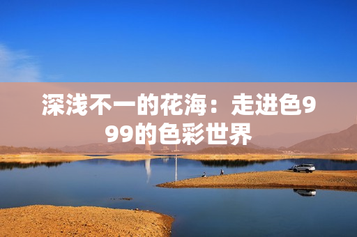 深浅不一的花海：走进色999的色彩世界