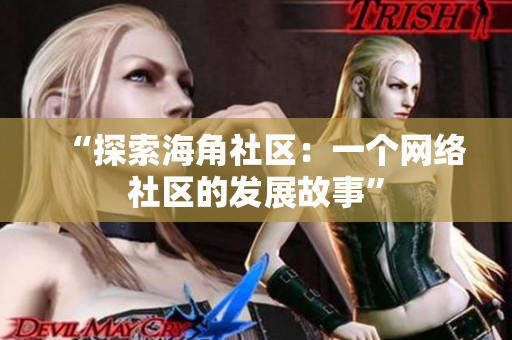 “探索海角社区：一个网络社区的发展故事”