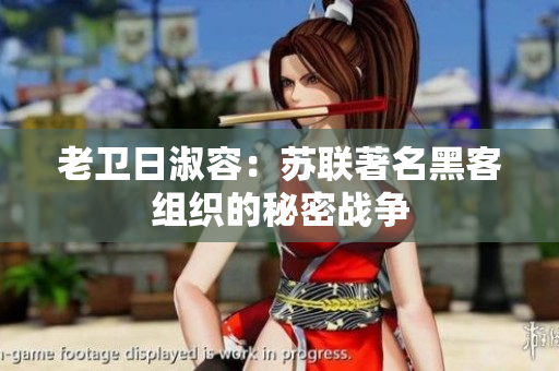 老卫日淑容：苏联著名黑客组织的秘密战争