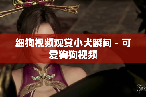 细狗视频观赏小犬瞬间 - 可爱狗狗视频