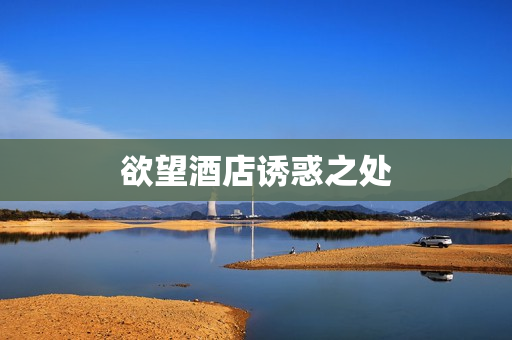 欲望酒店诱惑之处