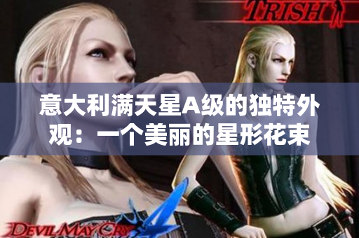 意大利满天星A级的独特外观：一个美丽的星形花束