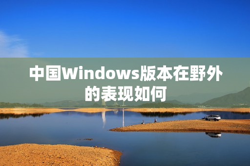 中国Windows版本在野外的表现如何
