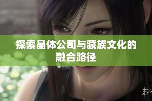 探索晶体公司与藏族文化的融合路径