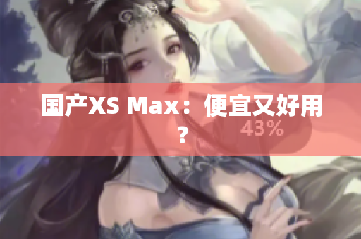 国产XS Max：便宜又好用？