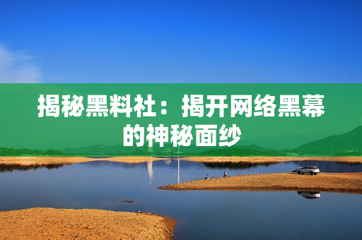 揭秘黑料社：揭开网络黑幕的神秘面纱