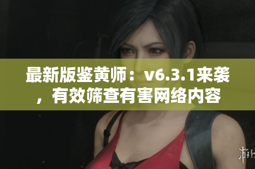 最新版鉴黄师：v6.3.1来袭，有效筛查有害网络内容