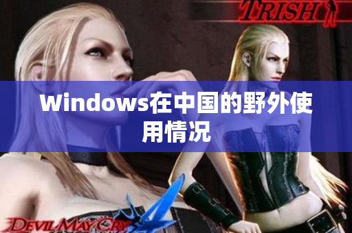 Windows在中国的野外使用情况