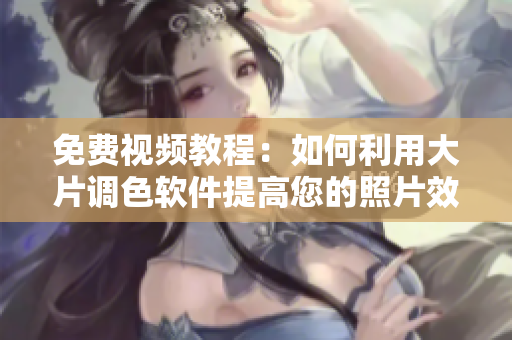 免费视频教程：如何利用大片调色软件提高您的照片效果