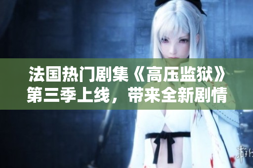 法国热门剧集《高压监狱》第三季上线，带来全新剧情和演员阵容