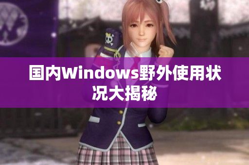 国内Windows野外使用状况大揭秘