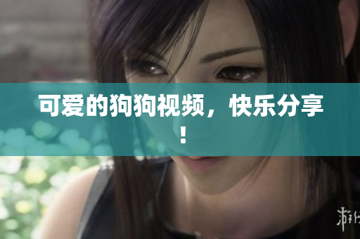 可爱的狗狗视频，快乐分享！