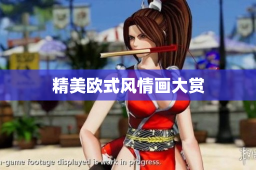 精美欧式风情画大赏