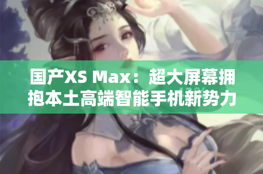 国产XS Max：超大屏幕拥抱本土高端智能手机新势力