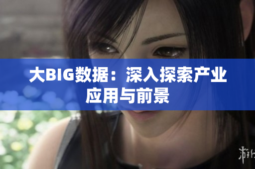 大BIG数据：深入探索产业应用与前景