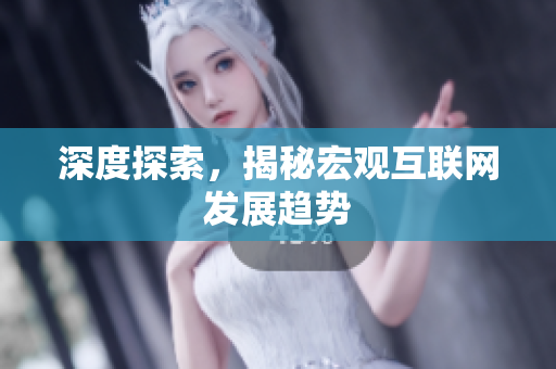 深度探索，揭秘宏观互联网发展趋势