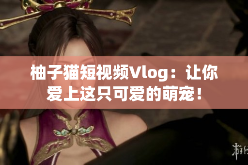 柚子猫短视频Vlog：让你爱上这只可爱的萌宠！