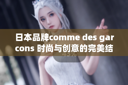 日本品牌comme des garcons 时尚与创意的完美结合