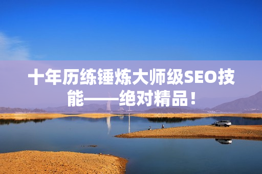 十年历练锤炼大师级SEO技能——绝对精品！