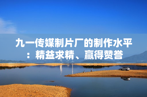 九一传媒制片厂的制作水平：精益求精、赢得赞誉