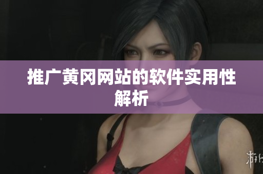 推广黄冈网站的软件实用性解析