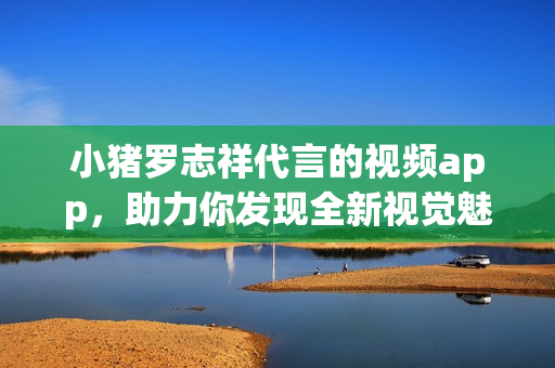小猪罗志祥代言的视频app，助力你发现全新视觉魅力